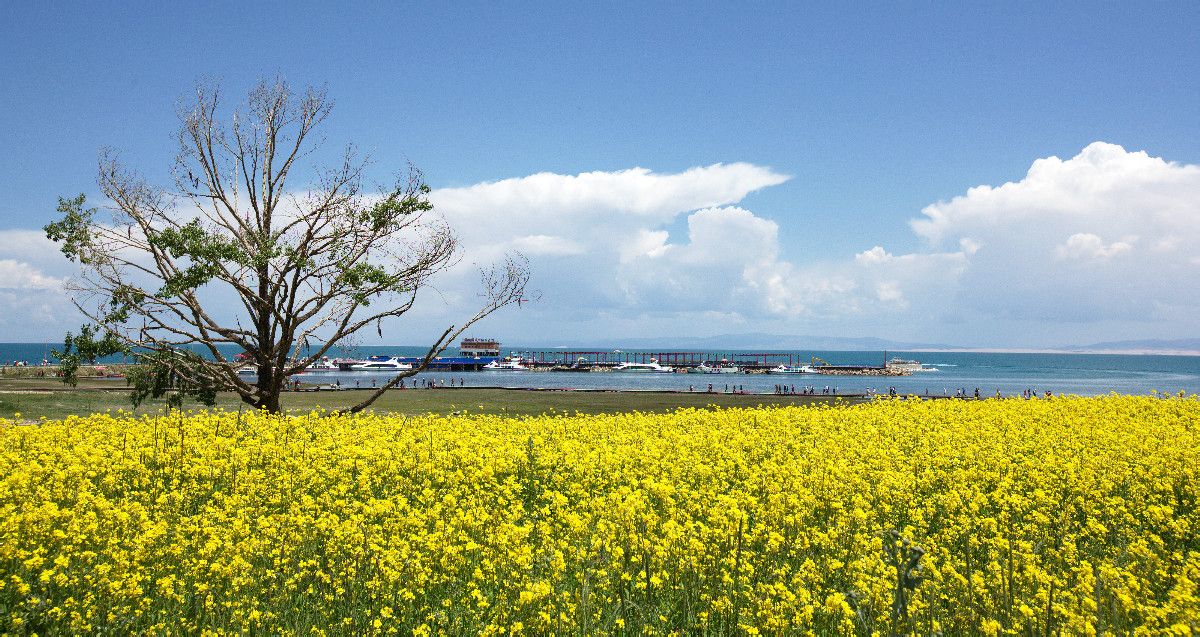 青海 寧夏雙飛5（北京成團(tuán)，包機(jī)）