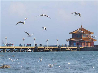 <strong><font color='#0000FF'>日照A線：青島、棧橋、日照、劉家灣趕海、竹洞</font></strong>