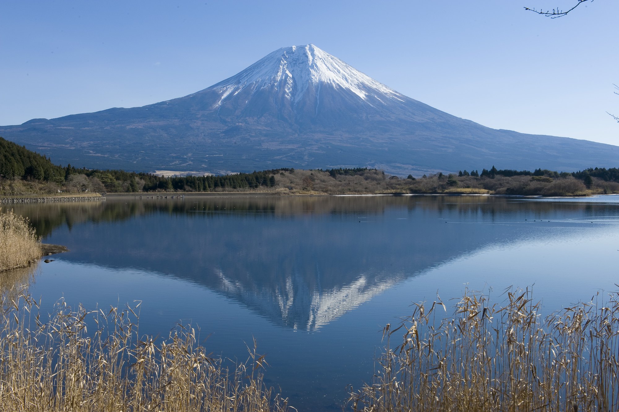東京、箱根、京都、大阪6日**三大樂園の3~4星酒