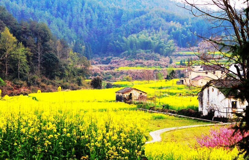 廬山主景區(qū)、婺源、江嶺梯田、三清山、景德鎮(zhèn)