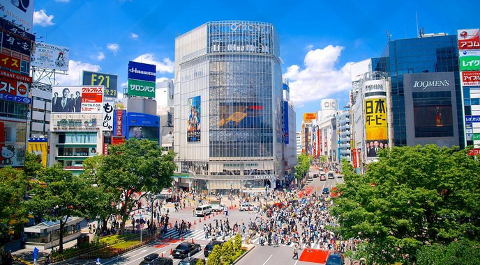 東京、箱根、伊豆半島、東京1天自由行6日