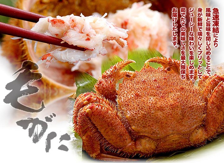 東京、箱根、大阪、京都、伊勢7日**4星美食純玩