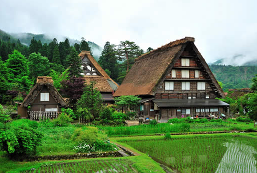 東京、箱根、大阪、京都、奈良、白川鄉(xiāng)、神戶